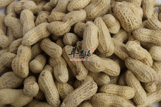 QQ截图20160629183742.png