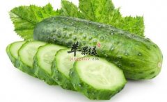 黄瓜饮食禁忌 不能跟什么一起吃
