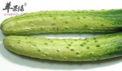 三高人群适合吃黄瓜吗 有什么好处