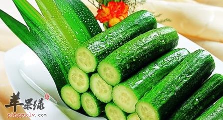 黄瓜