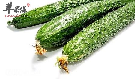 黄瓜