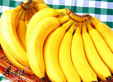 醋泡香蕉减肥法有效果吗
