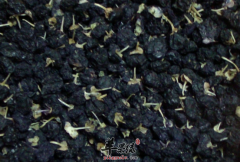食用黑枸杞抗辐射抗皱还能美白