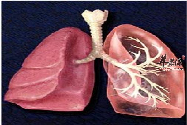 慢性肺炎除了治疗 食物偏方也有效_苹果绿