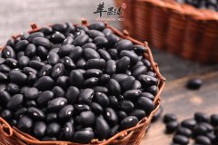 黑豆的做法 黑豆煲鲫鱼汤 黑豆醋