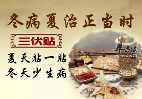 三伏贴的功效与作用及禁忌