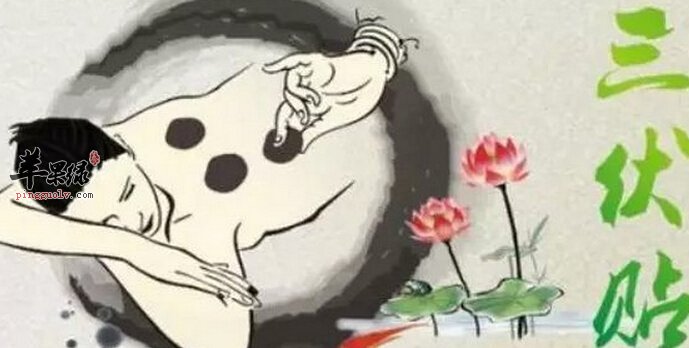 三伏贴的功效与作用及禁忌