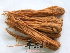 当归的副作用有哪些 具体来给你介绍