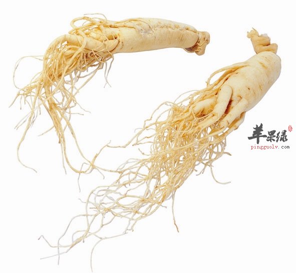 平时人参泡水的方法有哪些呢
