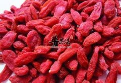 经常吃枸杞 竟然可以补气补血