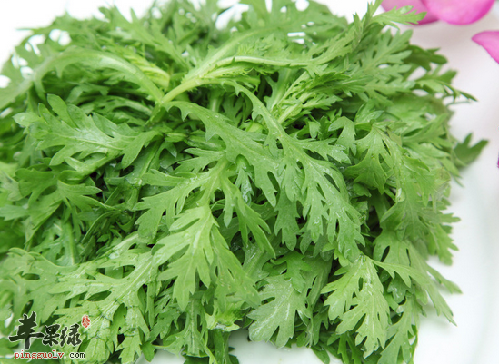 吃茼蒿具有安心气,养脾胃, 消痰饮,利肠胃的功效.