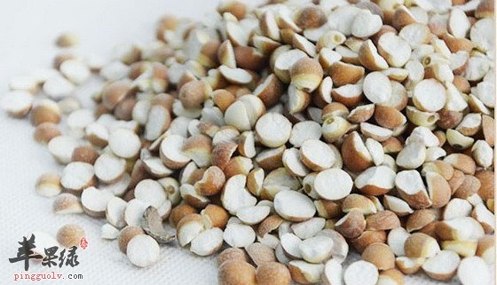 芡实一般不能和什么食物一起吃