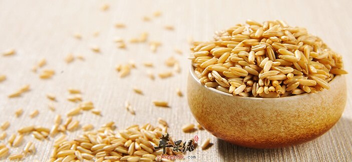 燕麦的功效与作用及食用方法