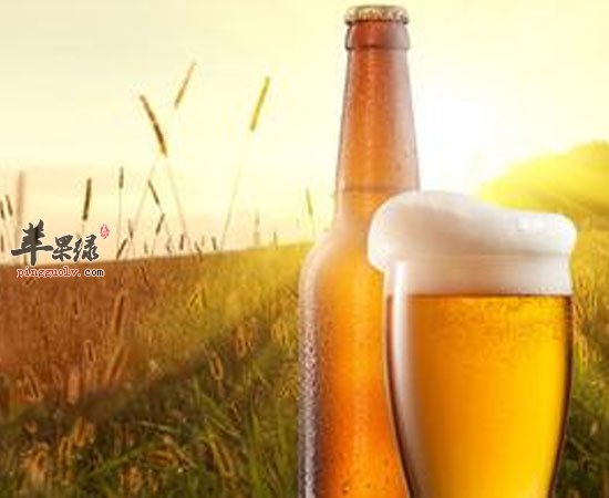 夏季喝啤酒要注意这三点才健康哦