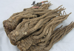 当归的作用与禁忌详细介绍