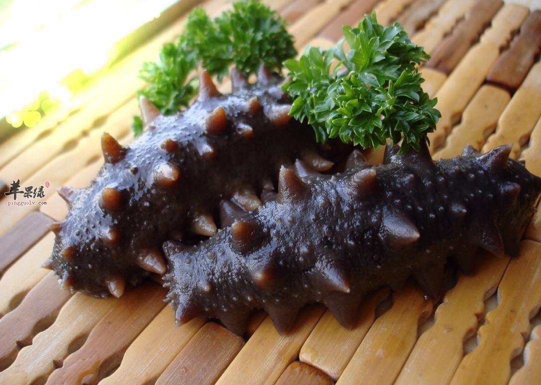 海参这样烹饪营养才不会流失