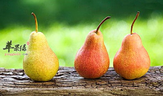 夏季清热解毒 多吃这五种水果