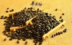 电脑一族平时应该多吃黑豆