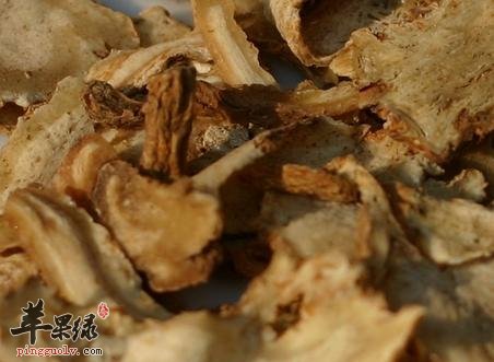 当归黄花汤