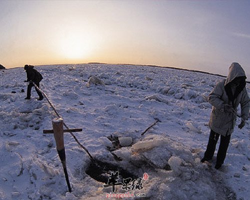 冬季屋里干燥如何增加空气湿度