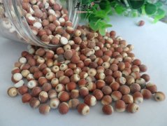 芡实米不能和什么一起食用
