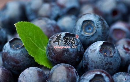 长寿老人爱吃什么 常吃这几种食物助长寿