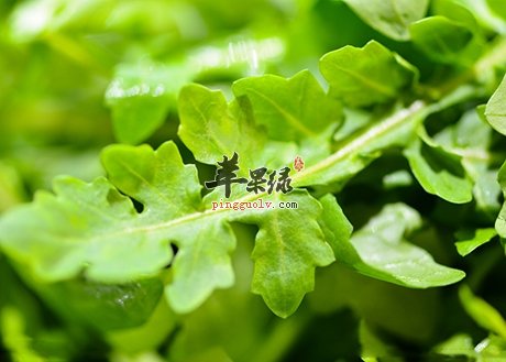 秋季气候干燥易上火 多吃这些防嘴唇干裂