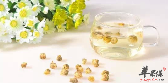 注意菊花泡水喝的三点禁忌 苹果绿