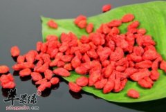 教你辨别枸杞的技巧以及食用方法