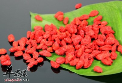 教你辨别枸杞 枸杞这样吃效果最好