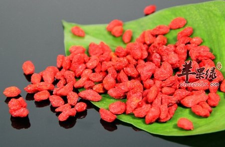 枸杞的神奇治病功效 大家知道多少