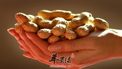 秋天容易犯困 吃这些食物精力旺盛