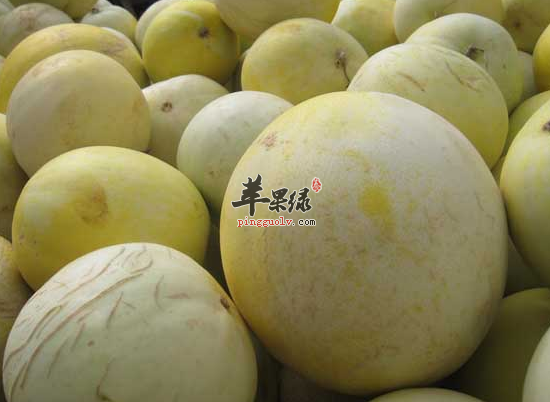 QQ截图20160825153754.png