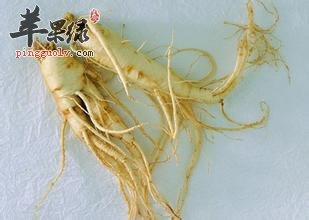 我们平时如何用人参进行泡水喝