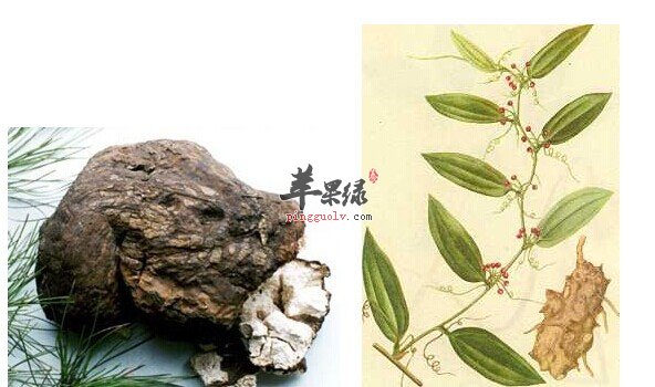 一般有哪些人不能吃茯苓呢