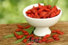 枸杞怎么吃才最好 推荐治病偏方