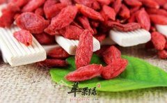 40岁以上的人更要常吃枸杞