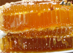 白领上火吃什么食物