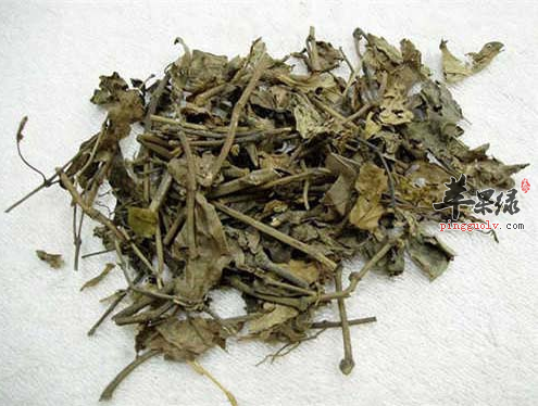 南藤的功效与作用及食用方法_南藤的营养价值及食用