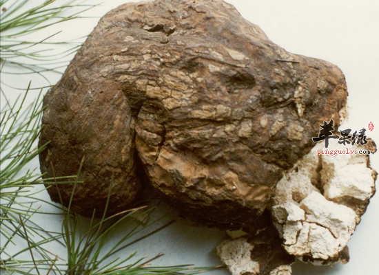 苓桂术甘汤可温阳健脾利湿