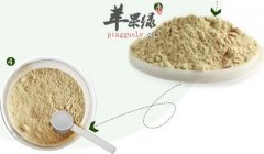 三七花泡水喝的禁忌有哪些