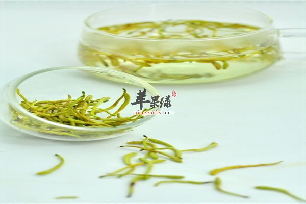 白菊花茶1.jpg