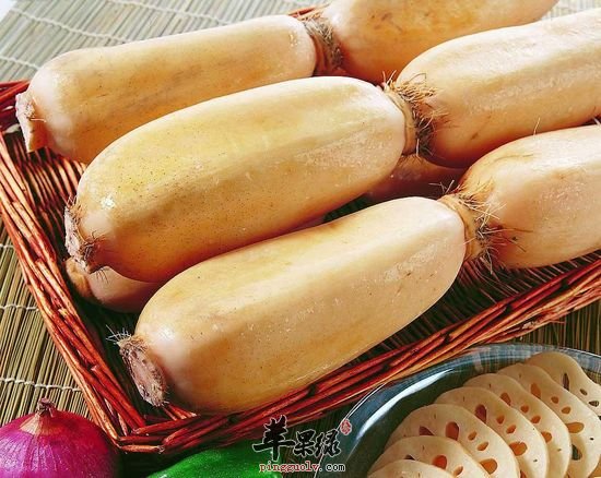 莲藕的好处与吃法介绍