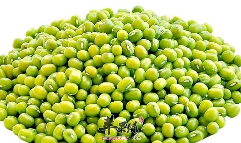 痛风一般能吃绿豆吗
