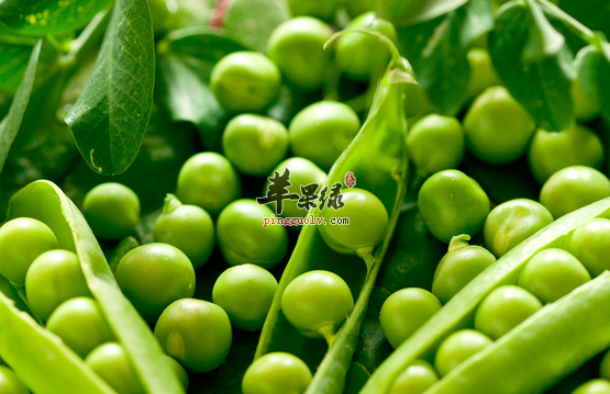 秋季养胃不可以吃的七类食物