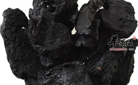 原来熟地黄泡水喝有这么多好处