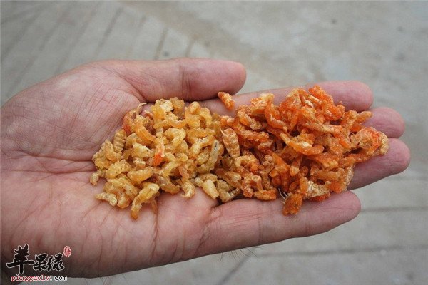 海米是什么 吃了对身体有哪些好处