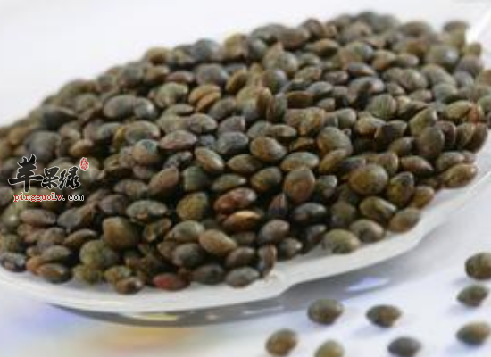 苹果绿 食材大全 营养价值绿扁豆也可以叫做小 刀豆,绿扁豆是豆荚科