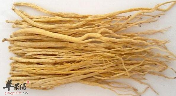参芪薏米粥的营养价值_参芪薏米粥的做法_参芪薏米
