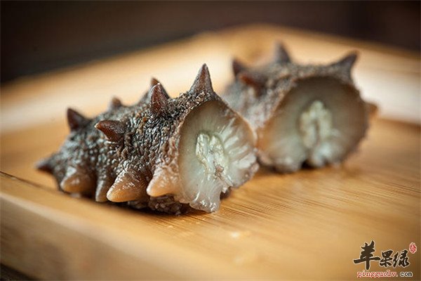 吃海参的1.jpg